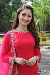 Tamannah at Bengal Tiger Movie Press Meet